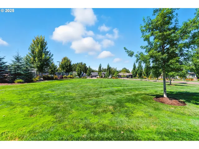 a view of a park with large trees