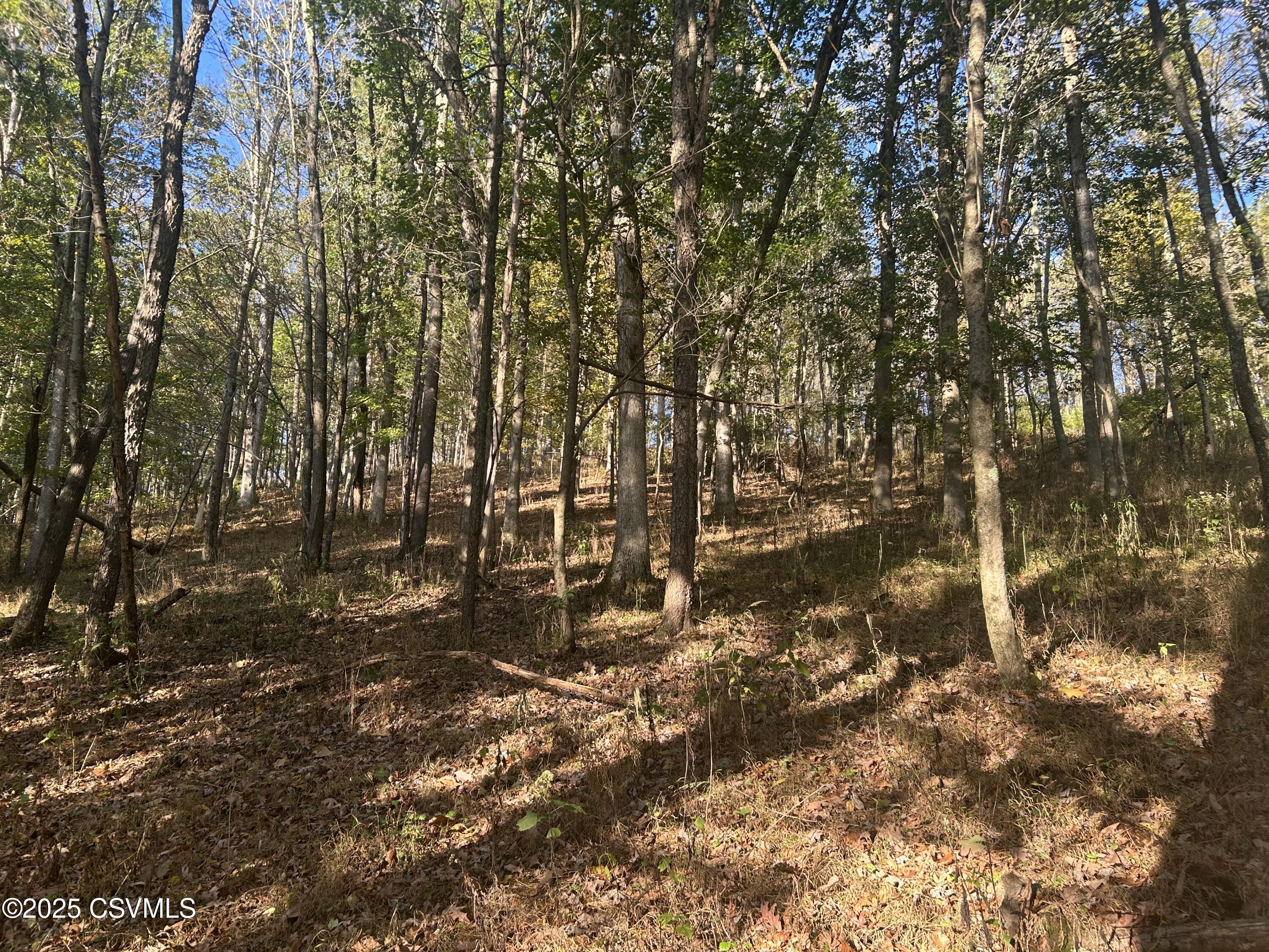 Ridge Road Cogan Station, PA 17728 - Photo 4 of 11