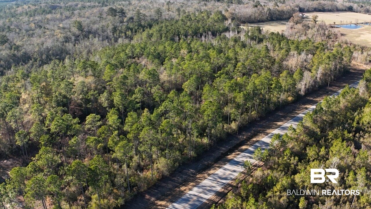 11808 Abb Road Tibbie, AL 36583 - Photo 22 of 31 Drone / aerial view with a wooded view
