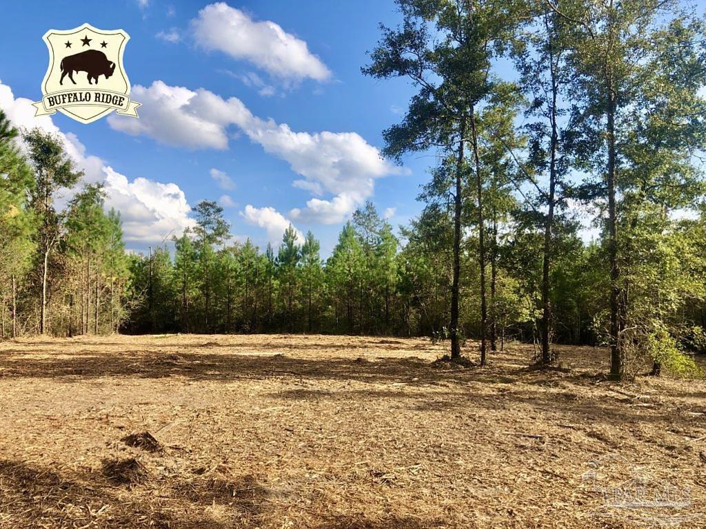 Lot 18-bs Buffalo Ridge Road Milton, FL 32571 - Photo 1 of 19