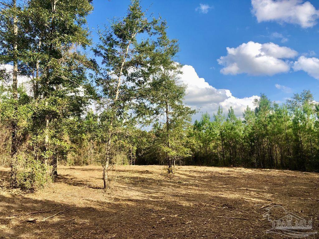 Lot 18-bs Buffalo Ridge Road Milton, FL 32571 - Photo 11 of 19