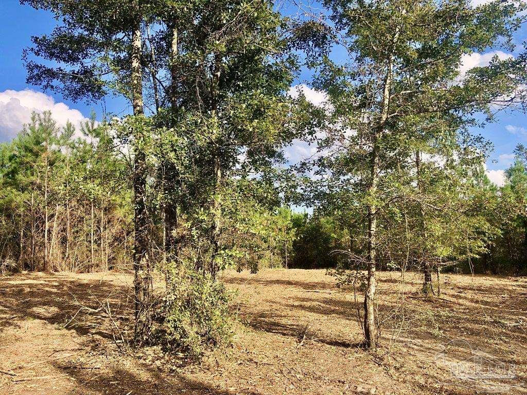 Lot 18-bs Buffalo Ridge Road Milton, FL 32571 - Photo 12 of 19