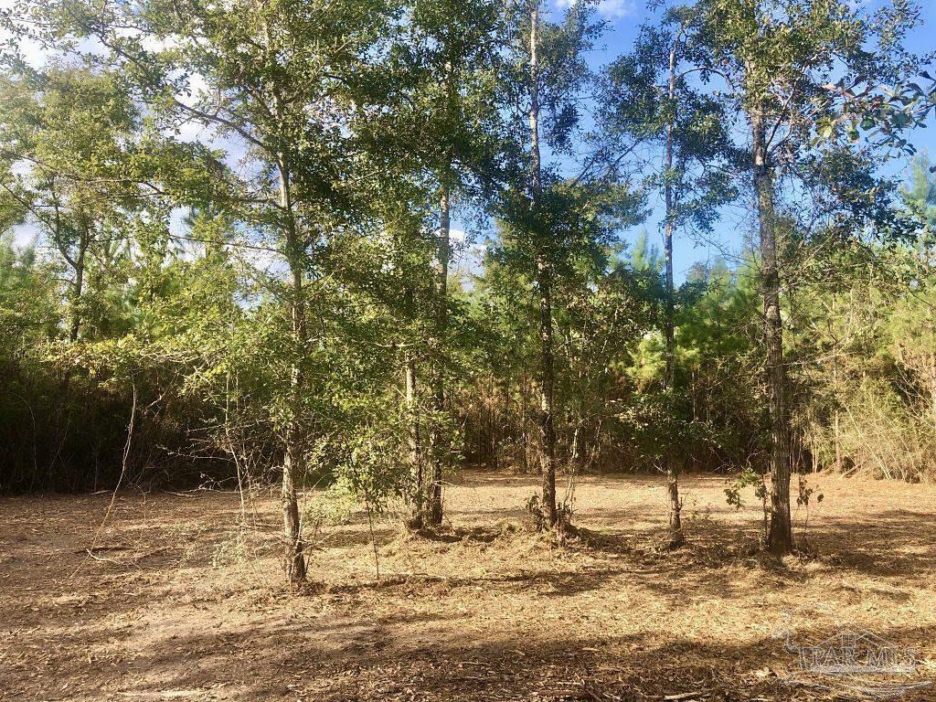 Lot 18-bs Buffalo Ridge Road Milton, FL 32571 - Photo 13 of 19