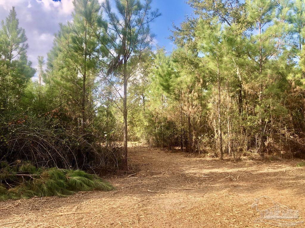 Lot 18-bs Buffalo Ridge Road Milton, FL 32571 - Photo 14 of 19