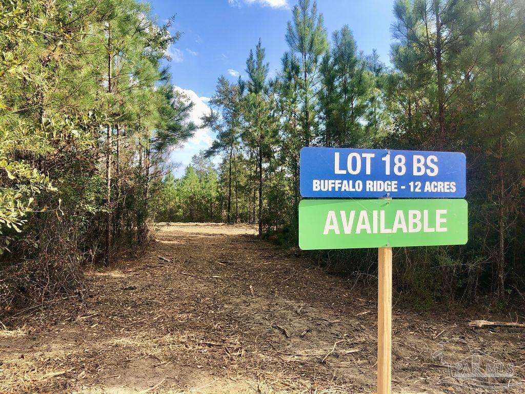 Lot 18-bs Buffalo Ridge Road Milton, FL 32571 - Photo 2 of 19