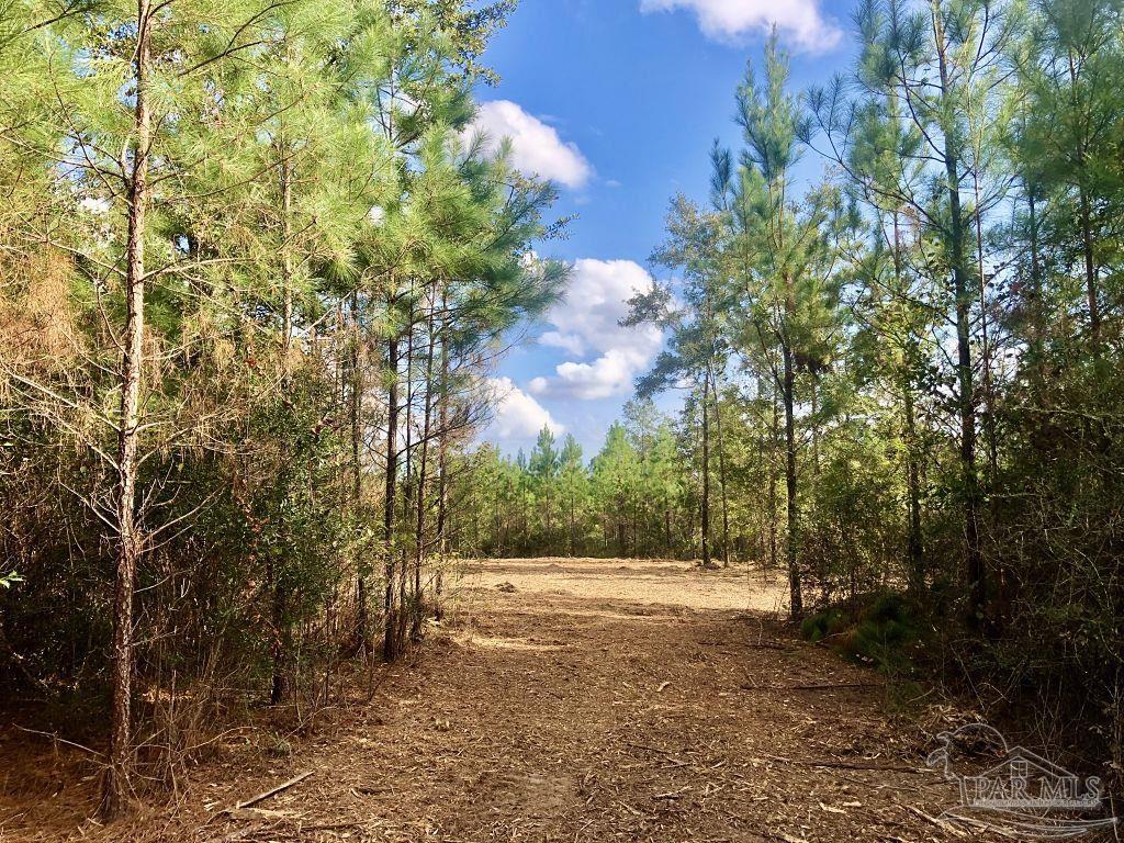 Lot 18-bs Buffalo Ridge Road Milton, FL 32571 - Photo 4 of 19