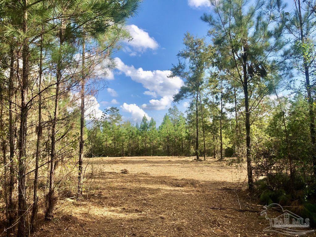 Lot 18-bs Buffalo Ridge Road Milton, FL 32571 - Photo 5 of 19