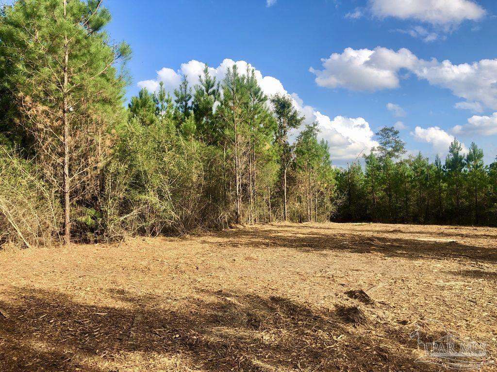 Lot 18-bs Buffalo Ridge Road Milton, FL 32571 - Photo 6 of 19