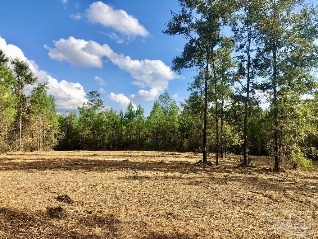 Lot 18-bs Buffalo Ridge Road Milton, FL 32571 - Photo 7 of 19