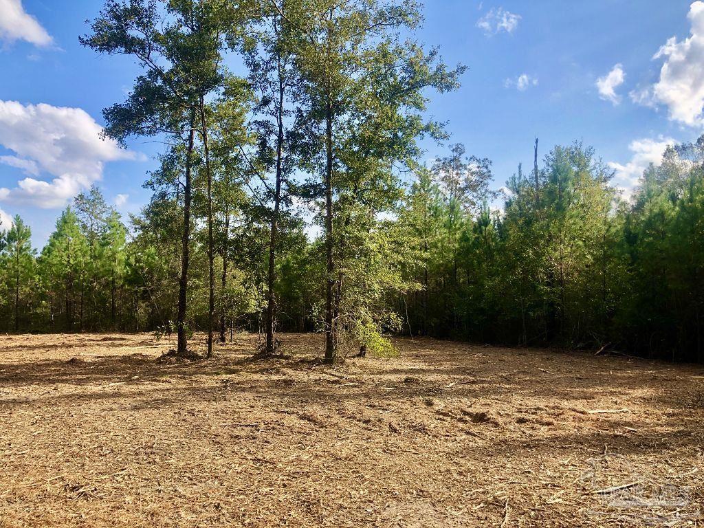 Lot 18-bs Buffalo Ridge Road Milton, FL 32571 - Photo 8 of 19