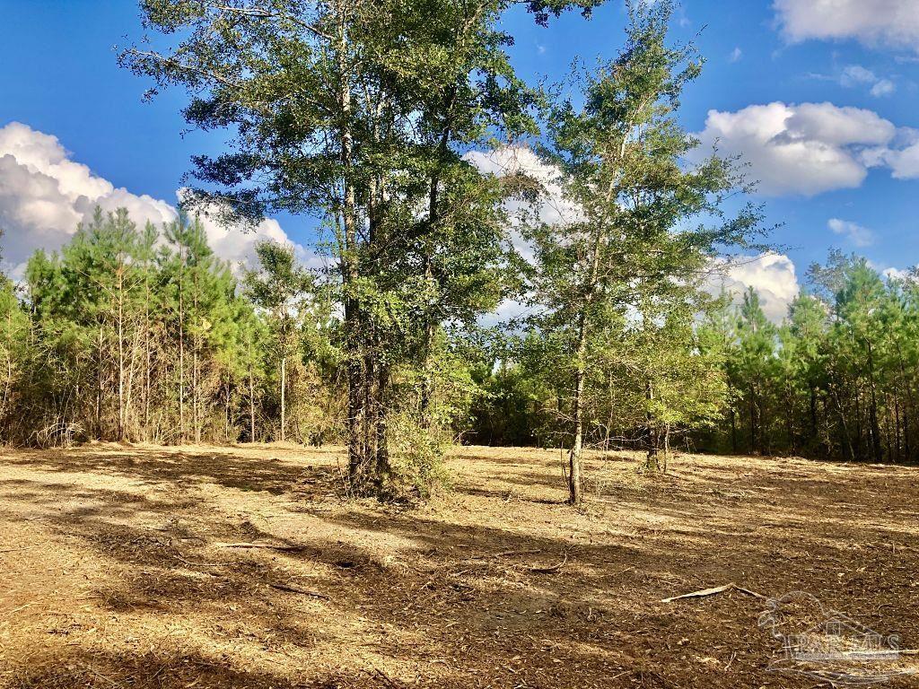 Lot 18-bs Buffalo Ridge Road Milton, FL 32571 - Photo 10 of 19