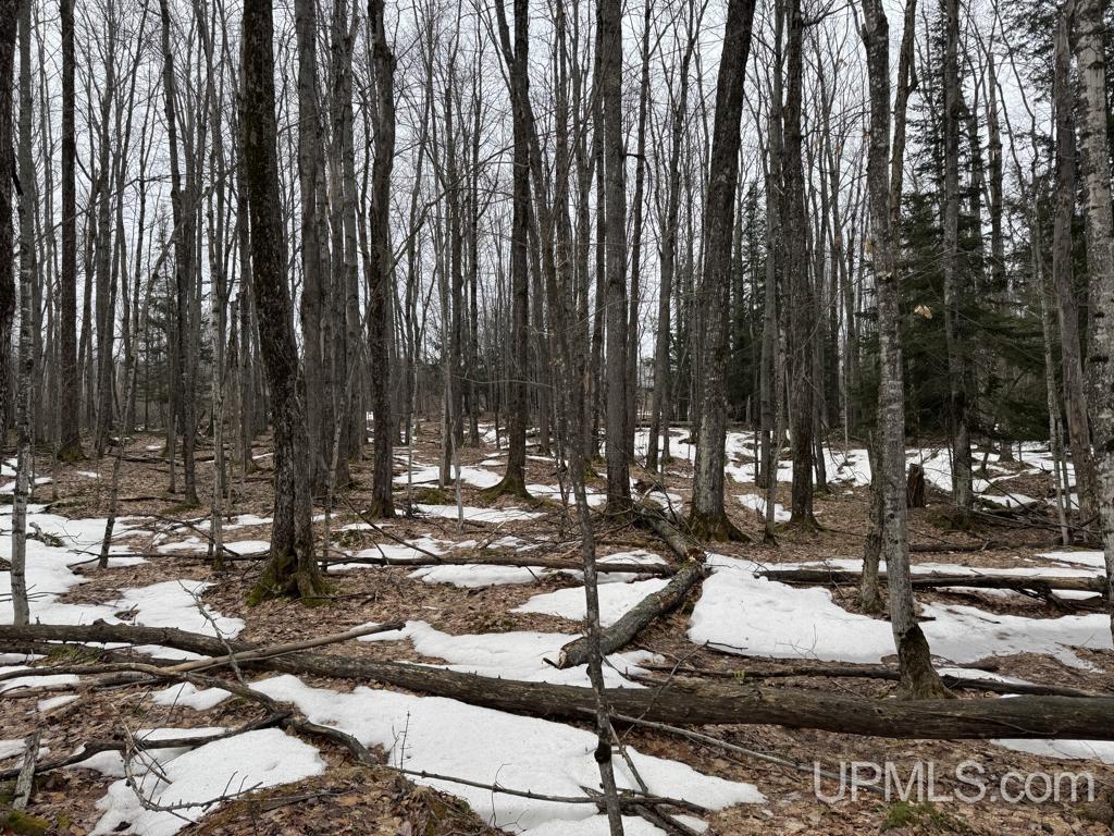Tbd Waisanen Road Lanse, MI 49946 - Photo 3 of 12 Gallery Image 3