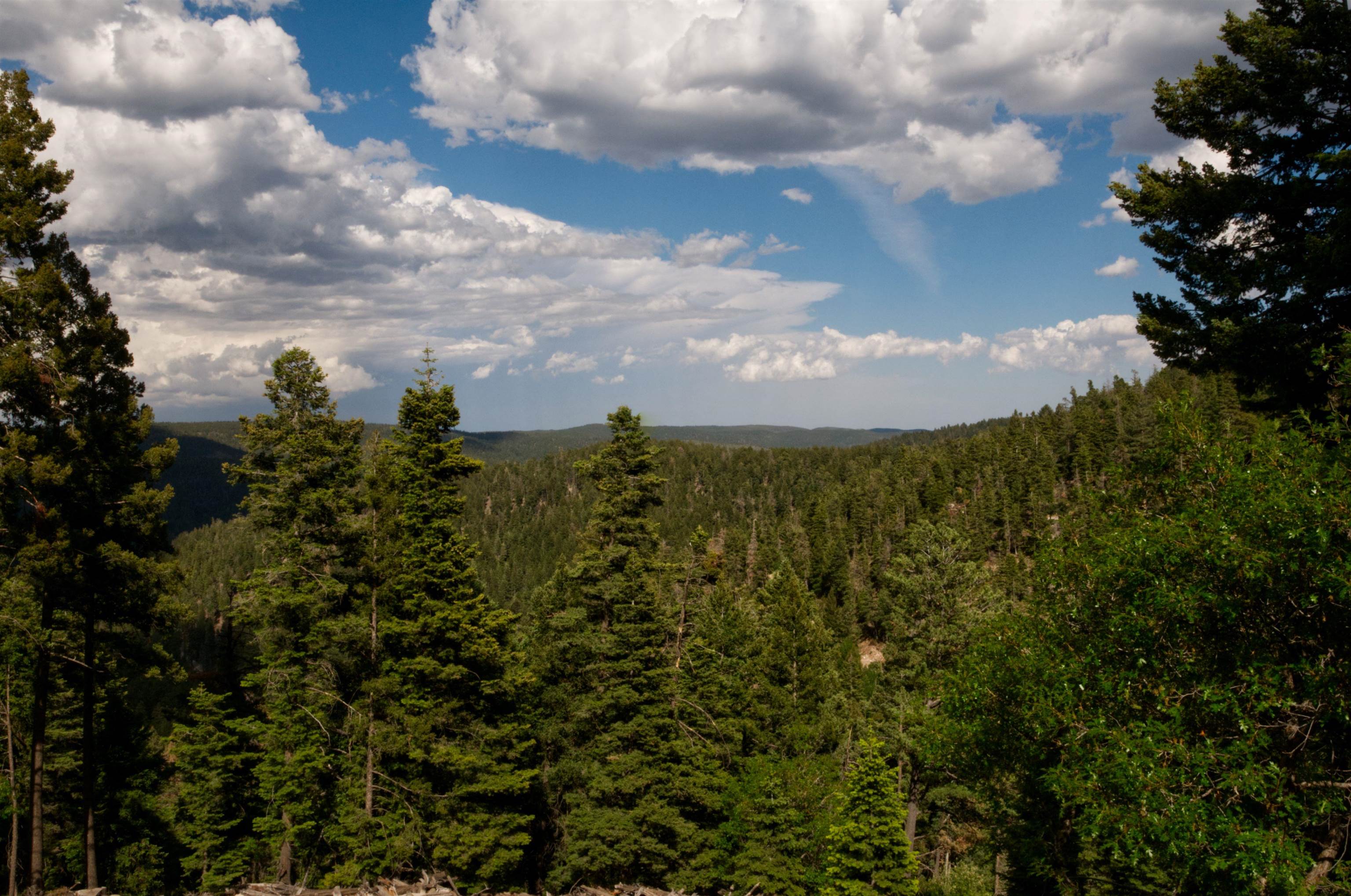 33 Clear Sky Road Cloudcroft, NM 88317 - Photo 2 of 23 Gallery Image 2
