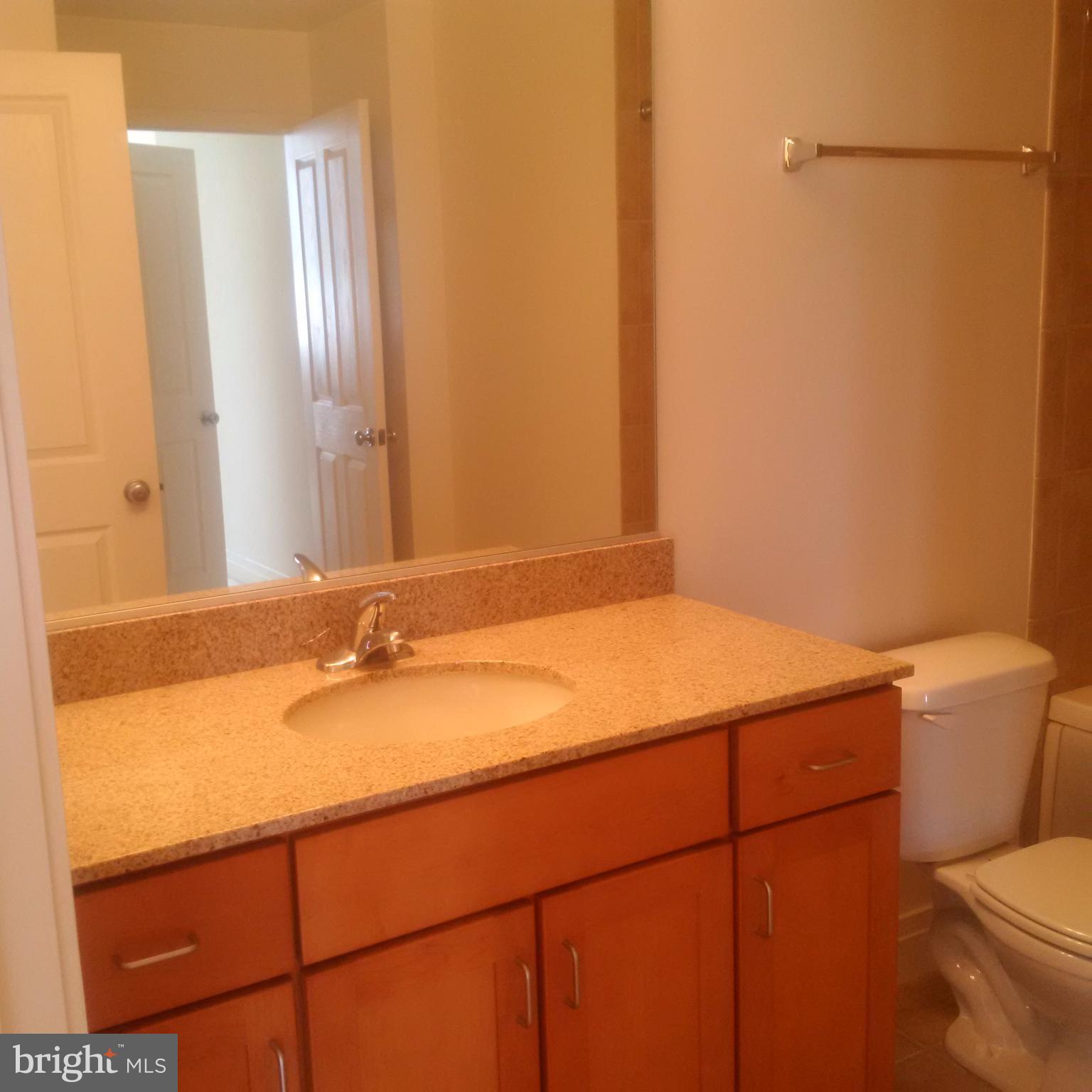 414 Water Street, Unit 3006 Baltimore, MD 21202 - Photo 12 of 14 Bath Granite Vanity