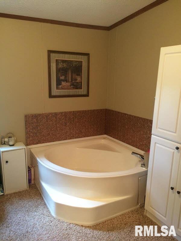 8577 Grassy Road Marion, IL 62959 - Photo 16 of 17
