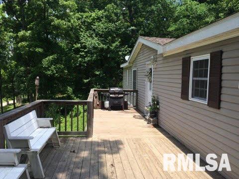 8577 Grassy Road Marion, IL 62959 - Photo 2 of 17