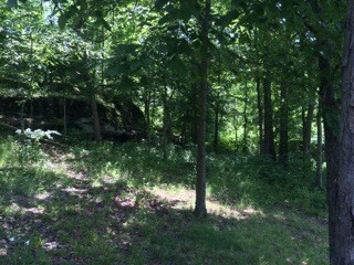 8577 Grassy Road Marion, IL 62959 - Photo 3 of 17