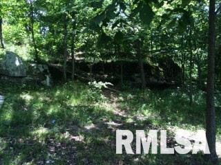8577 Grassy Road Marion, IL 62959 - Photo 4 of 17