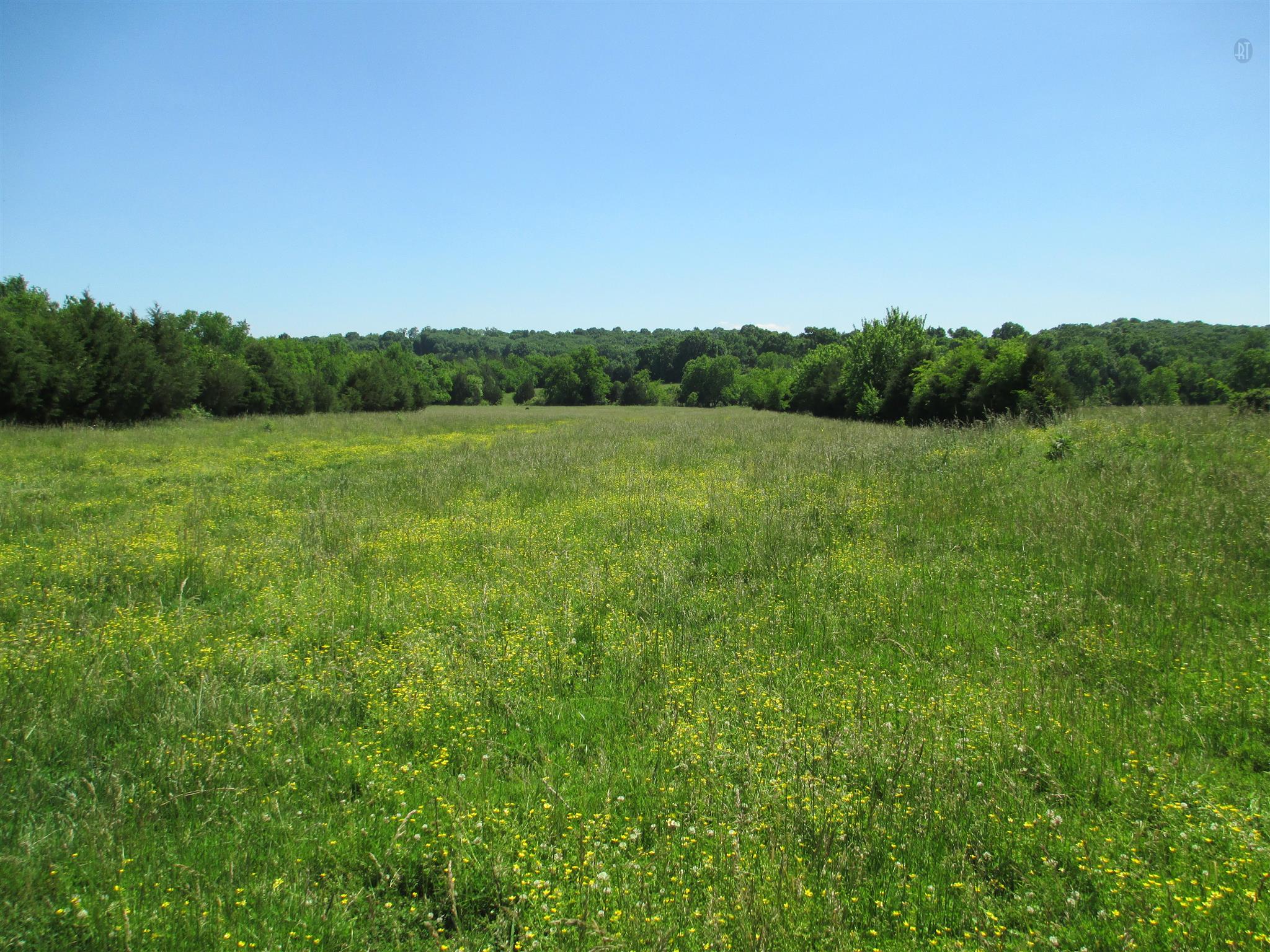 832 Roberts Road Watertown, TN 37184 - Photo 2 of 20 a view of field with lush green forest