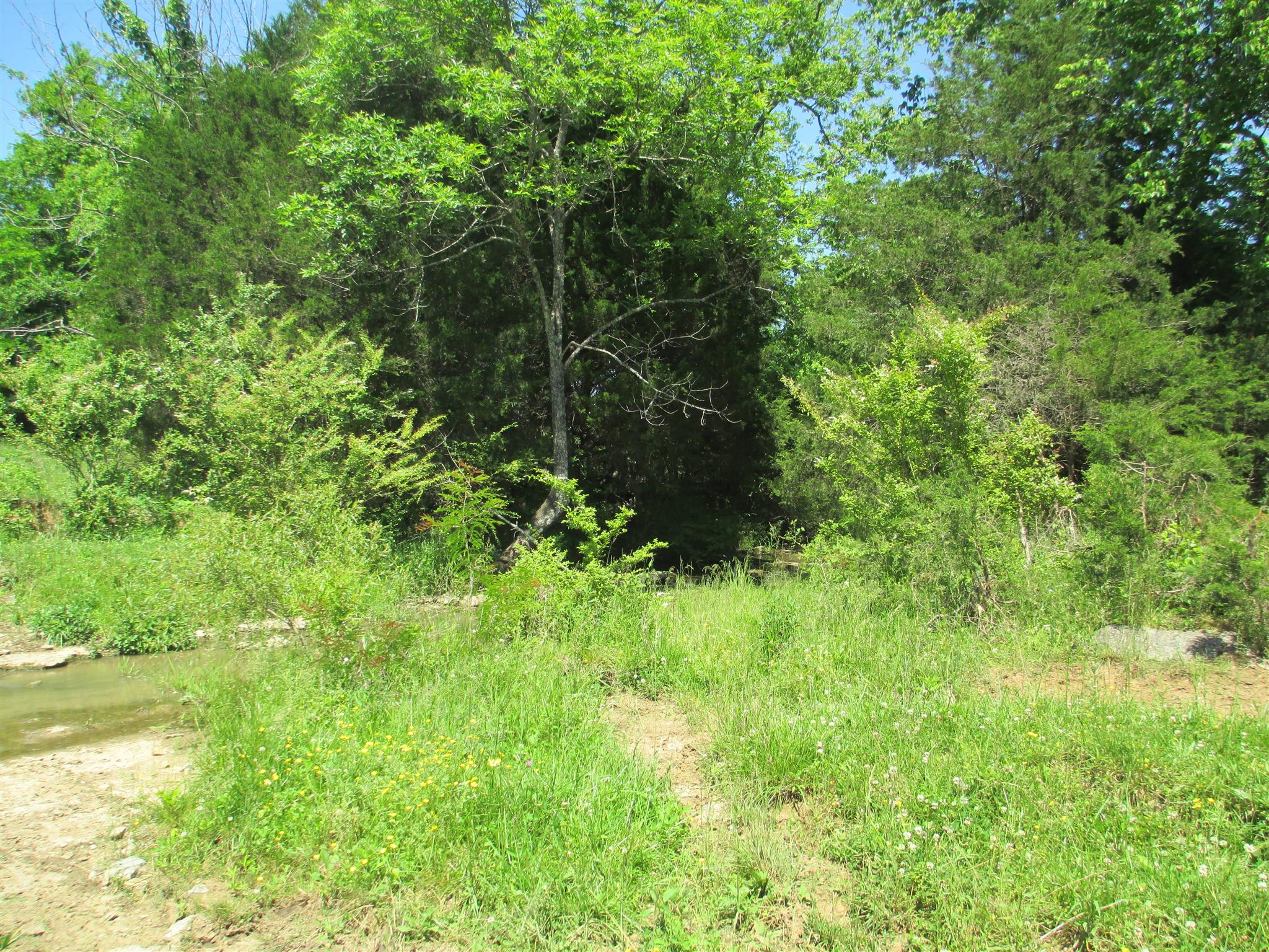 832 Roberts Road Watertown, TN 37184 - Photo 12 of 20 a view of a lush green space
