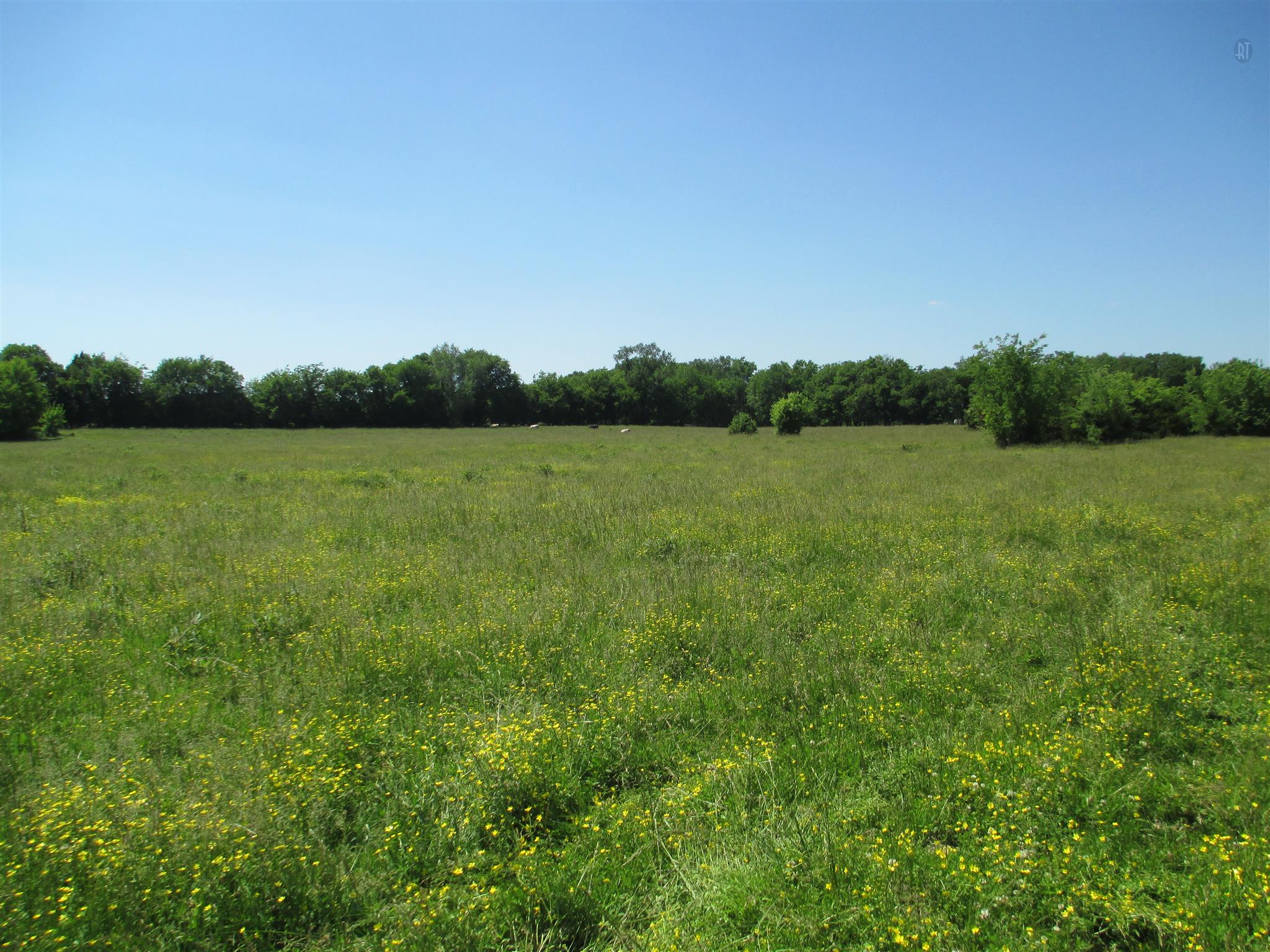 832 Roberts Road Watertown, TN 37184 - Photo 15 of 20 a view of an outdoor space and a yard