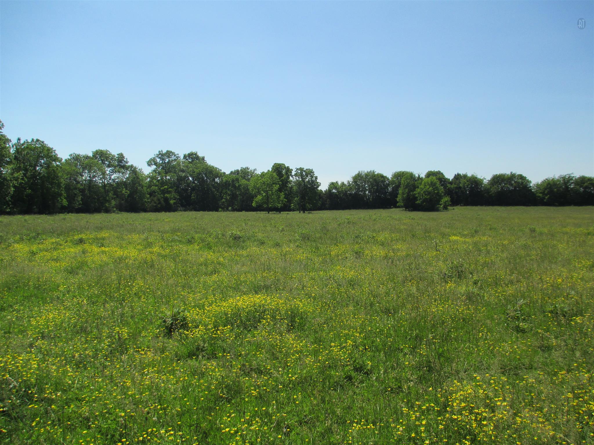 832 Roberts Road Watertown, TN 37184 - Photo 16 of 20 a view of field with trees in the background