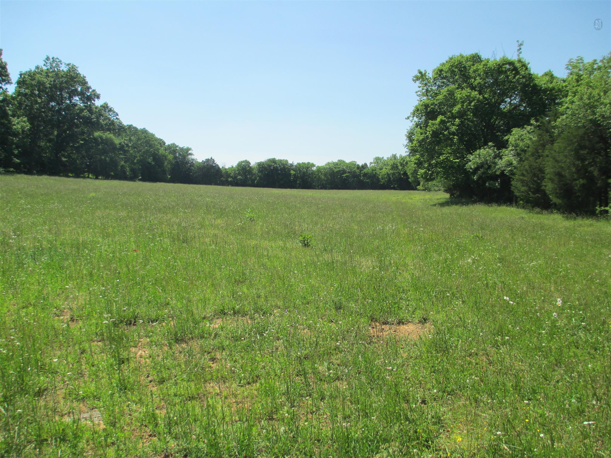 832 Roberts Road Watertown, TN 37184 - Photo 3 of 20 a view of a green field with wooden fence
