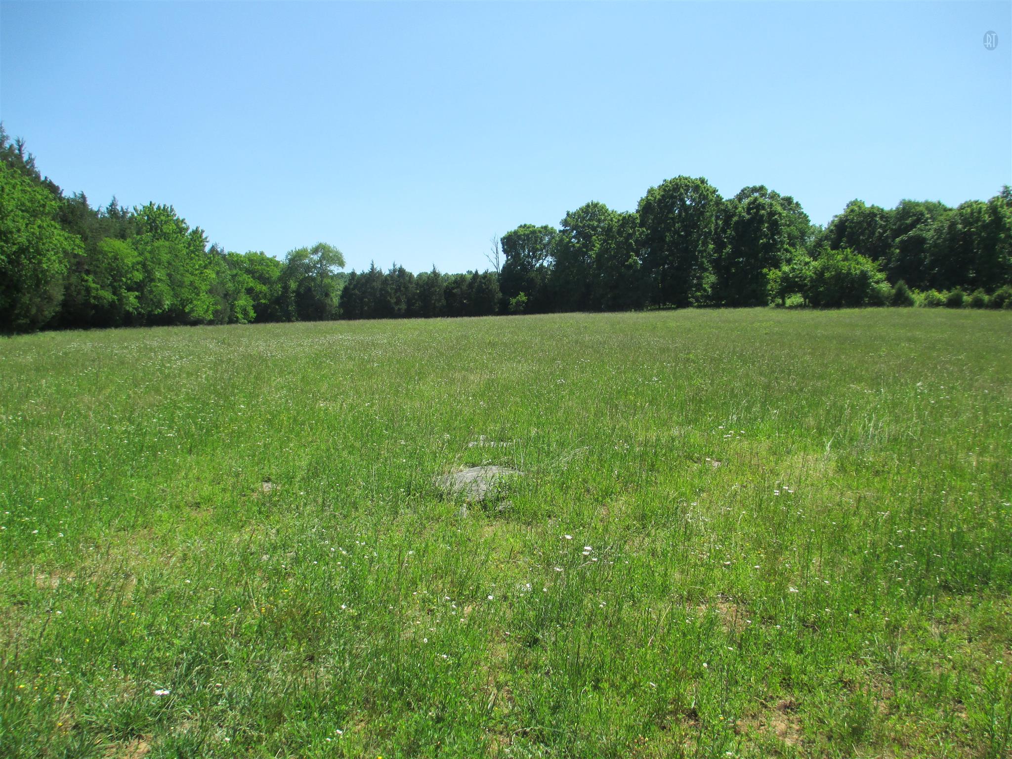 832 Roberts Road Watertown, TN 37184 - Photo 4 of 20 a view of field with trees in the background