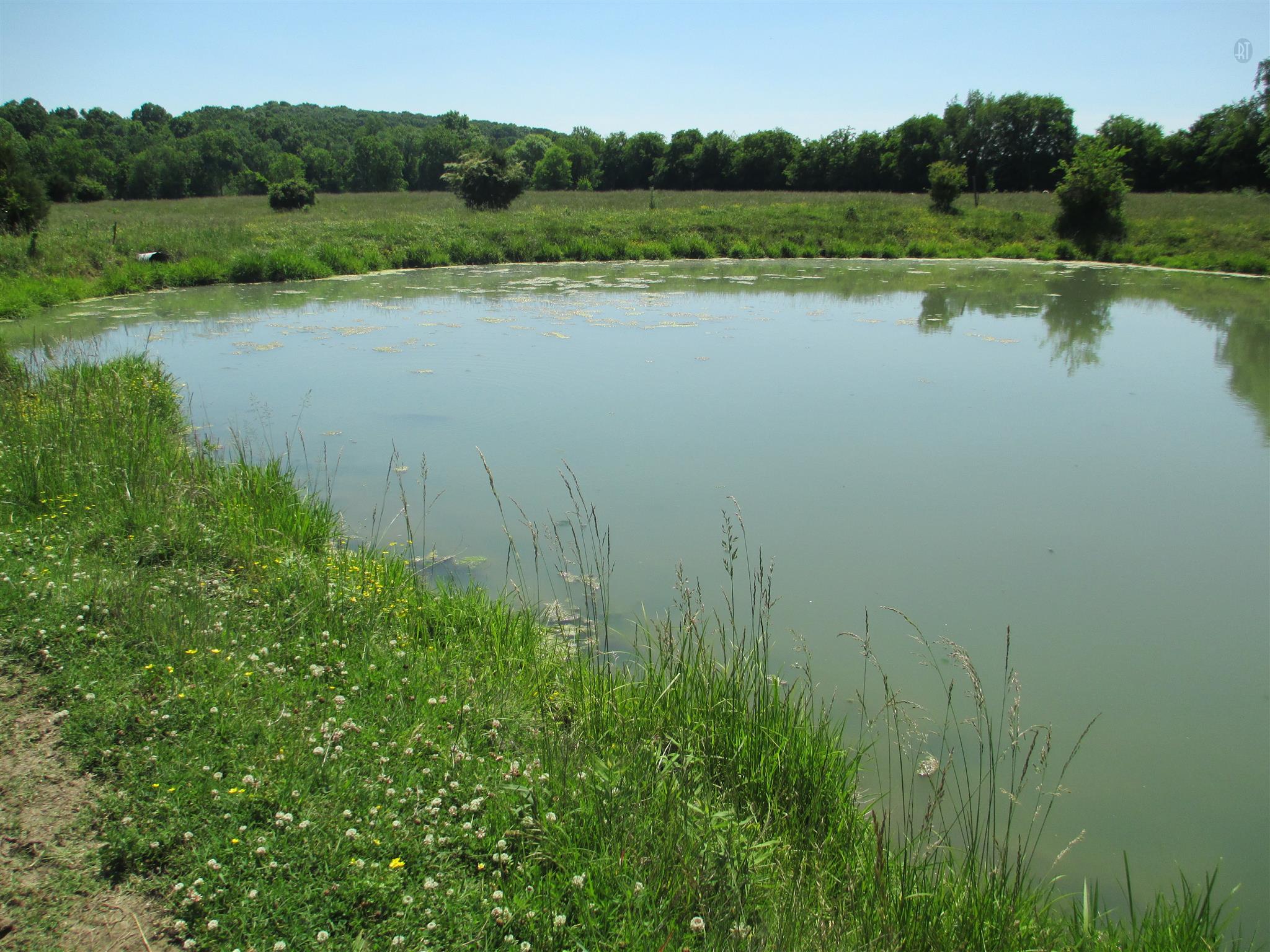832 Roberts Road Watertown, TN 37184 - Photo 5 of 20 a view of a lake with a yard and trees