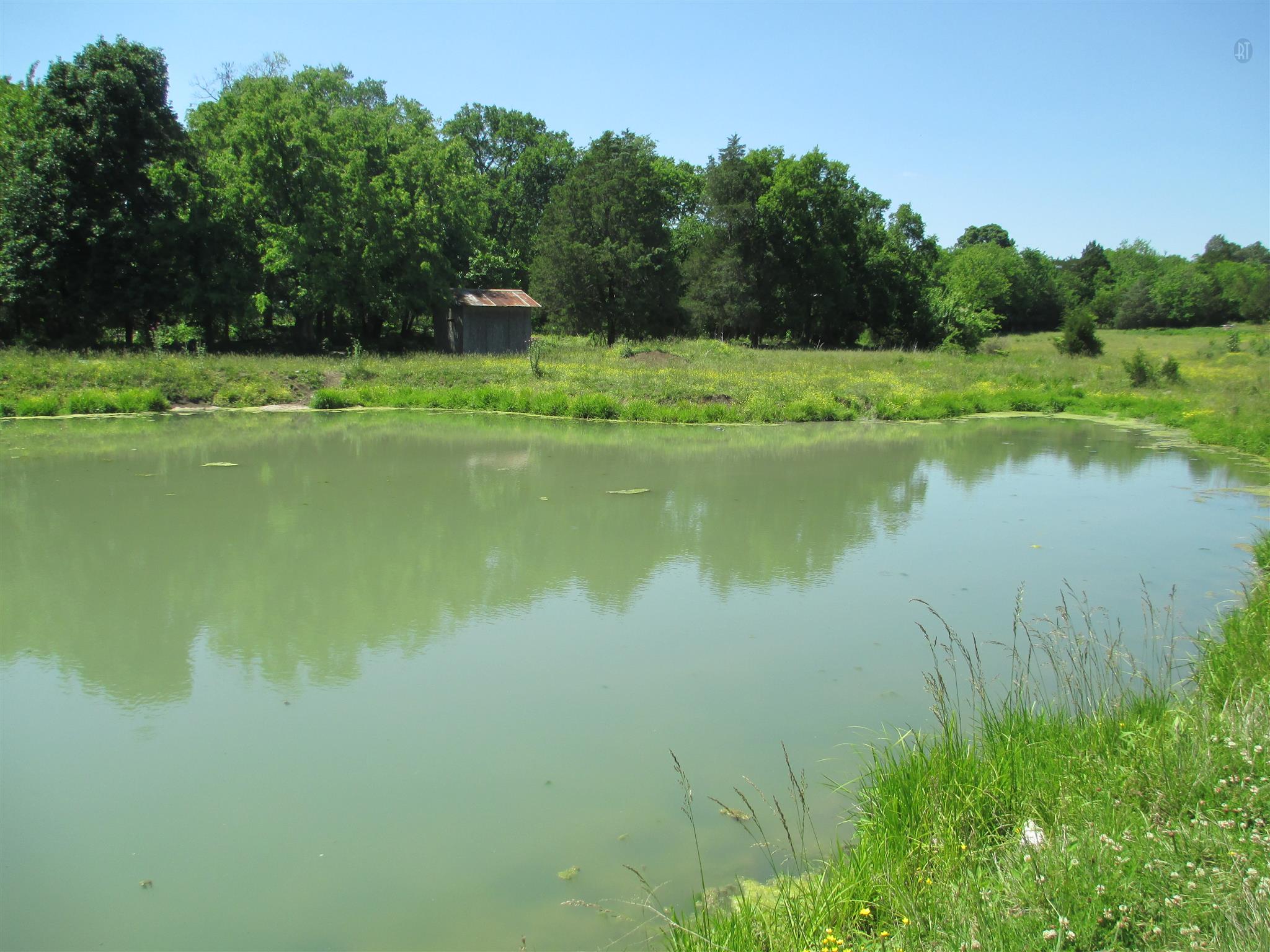 832 Roberts Road Watertown, TN 37184 - Photo 6 of 20 a view of a lake with a yard and trees