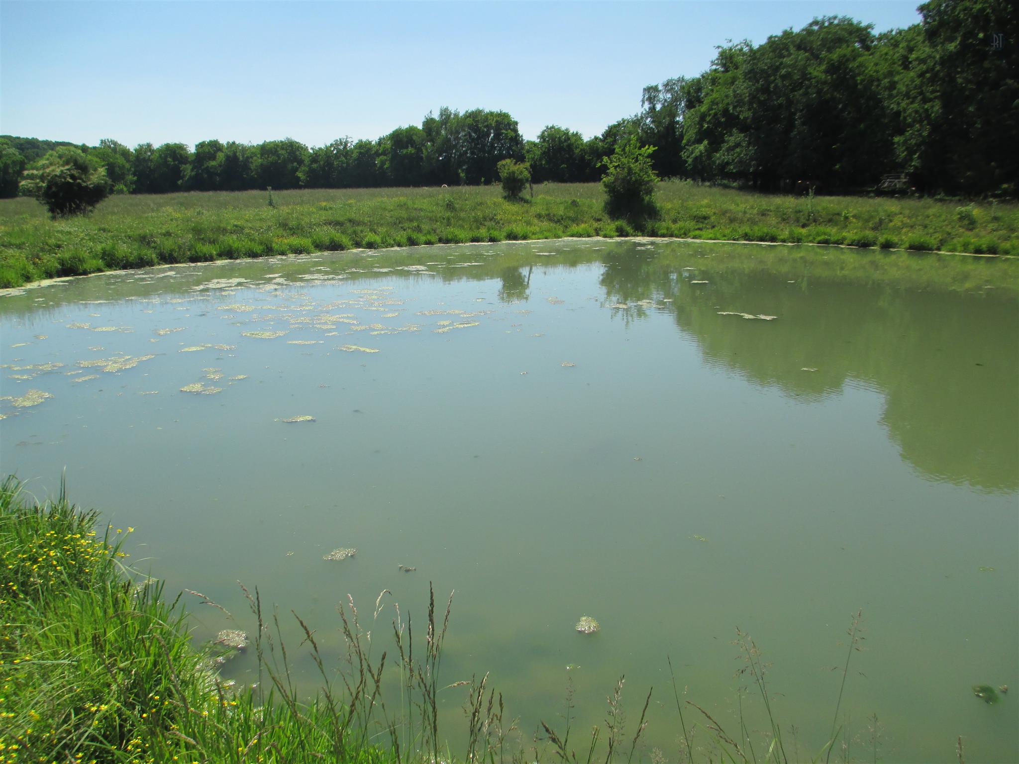 832 Roberts Road Watertown, TN 37184 - Photo 7 of 20 a view of a lake