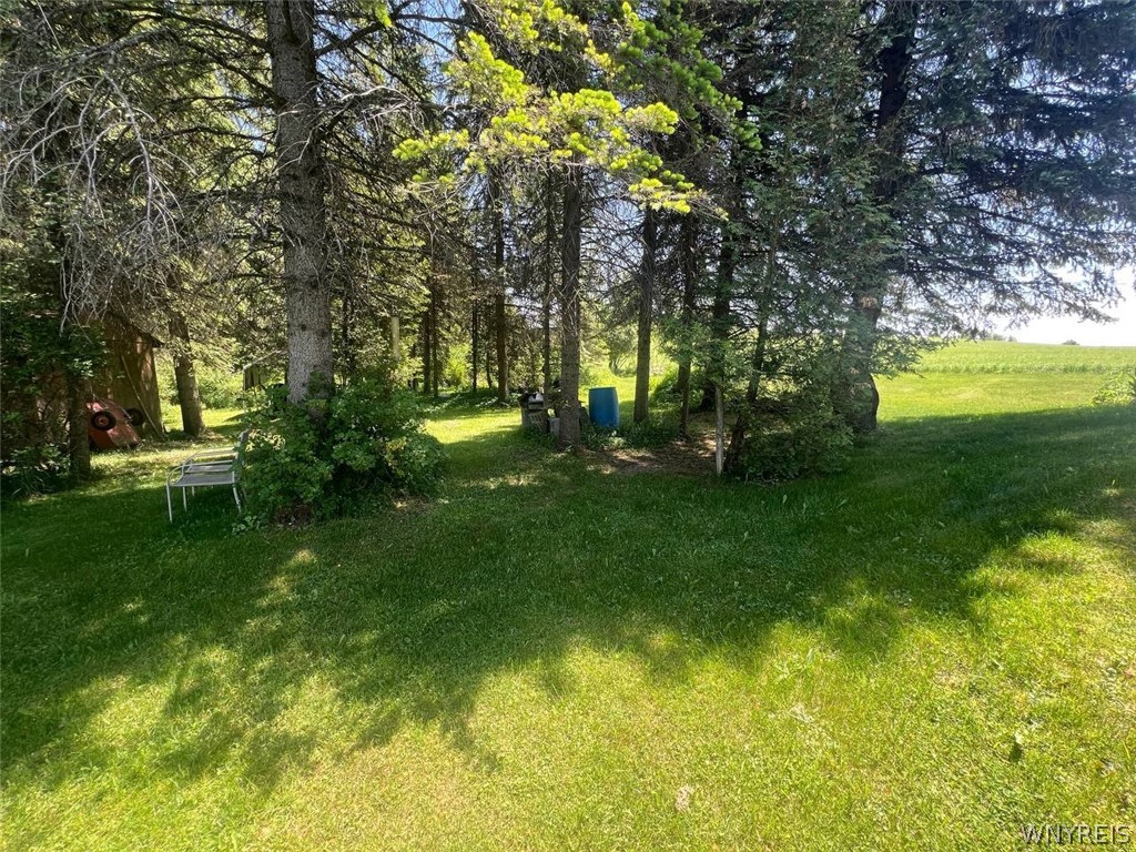 420 Prior Road Clayville, NY 13322 - Photo 7 of 21