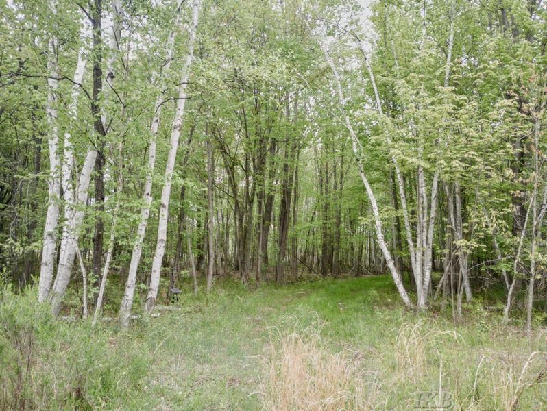 58-acres Northeast County Line Road Coleman, MI 48618 - Photo 16 of 45