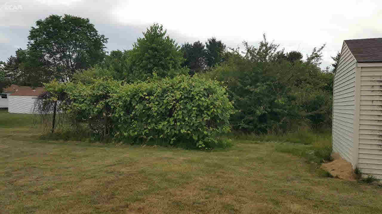 7025 North Bray Road Mount Morris, MI 48458 - Photo 28 of 29 21173074-27.JPG