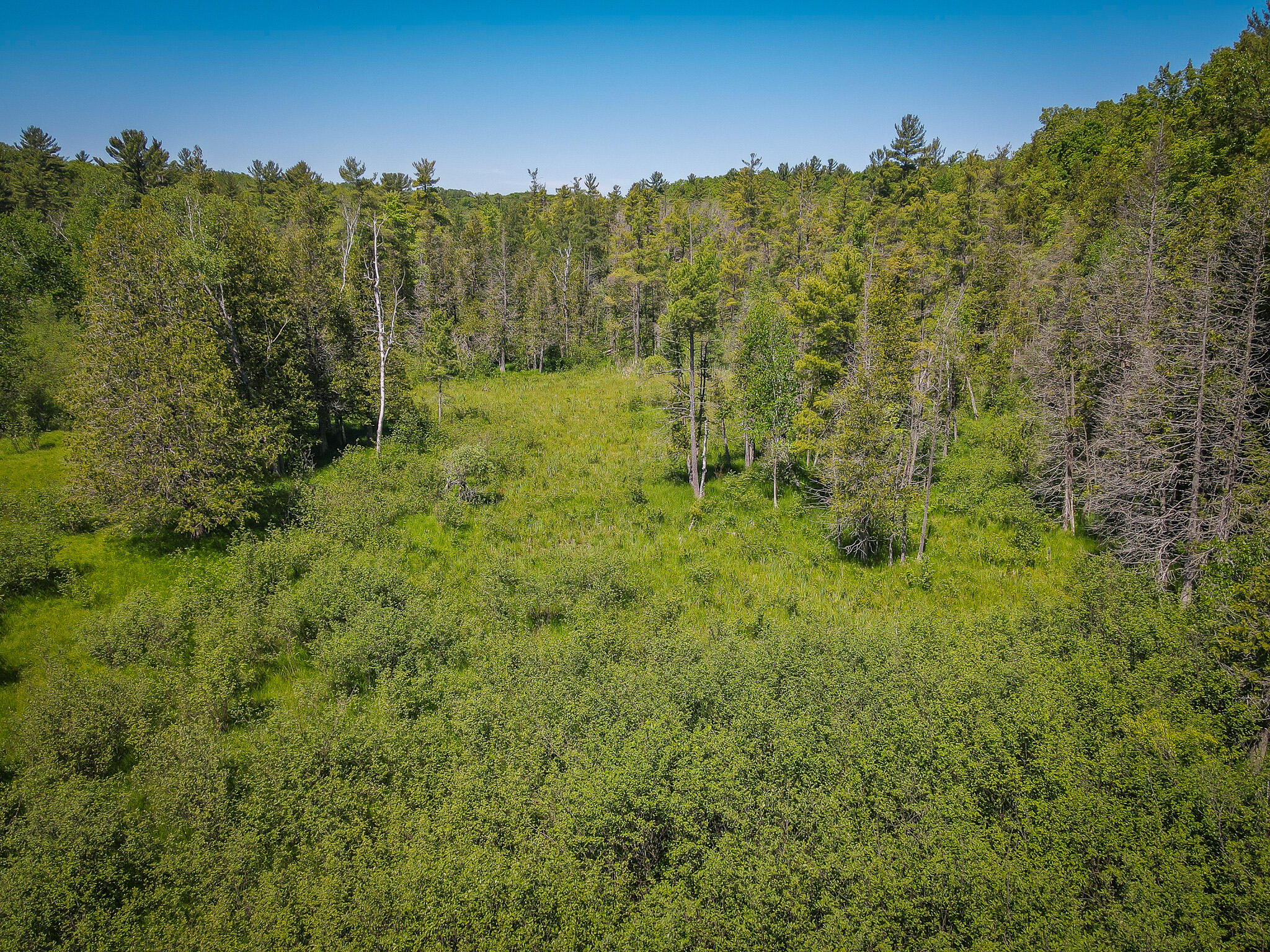 4993 Little River Road Manistee, MI 49660 - Photo 16 of 62 DJI_0338