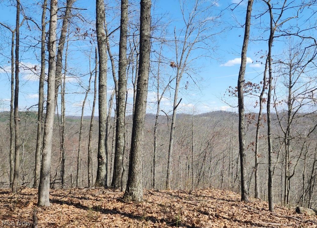 Progress Ridge Road Walker, WV 26180 - Photo 3 of 8