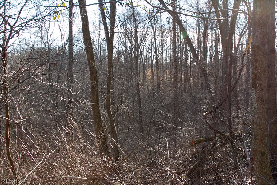 37373 Kinney Ridge Road Woodsfield, OH 43793 - Photo 20 of 29 Gallery Image 20