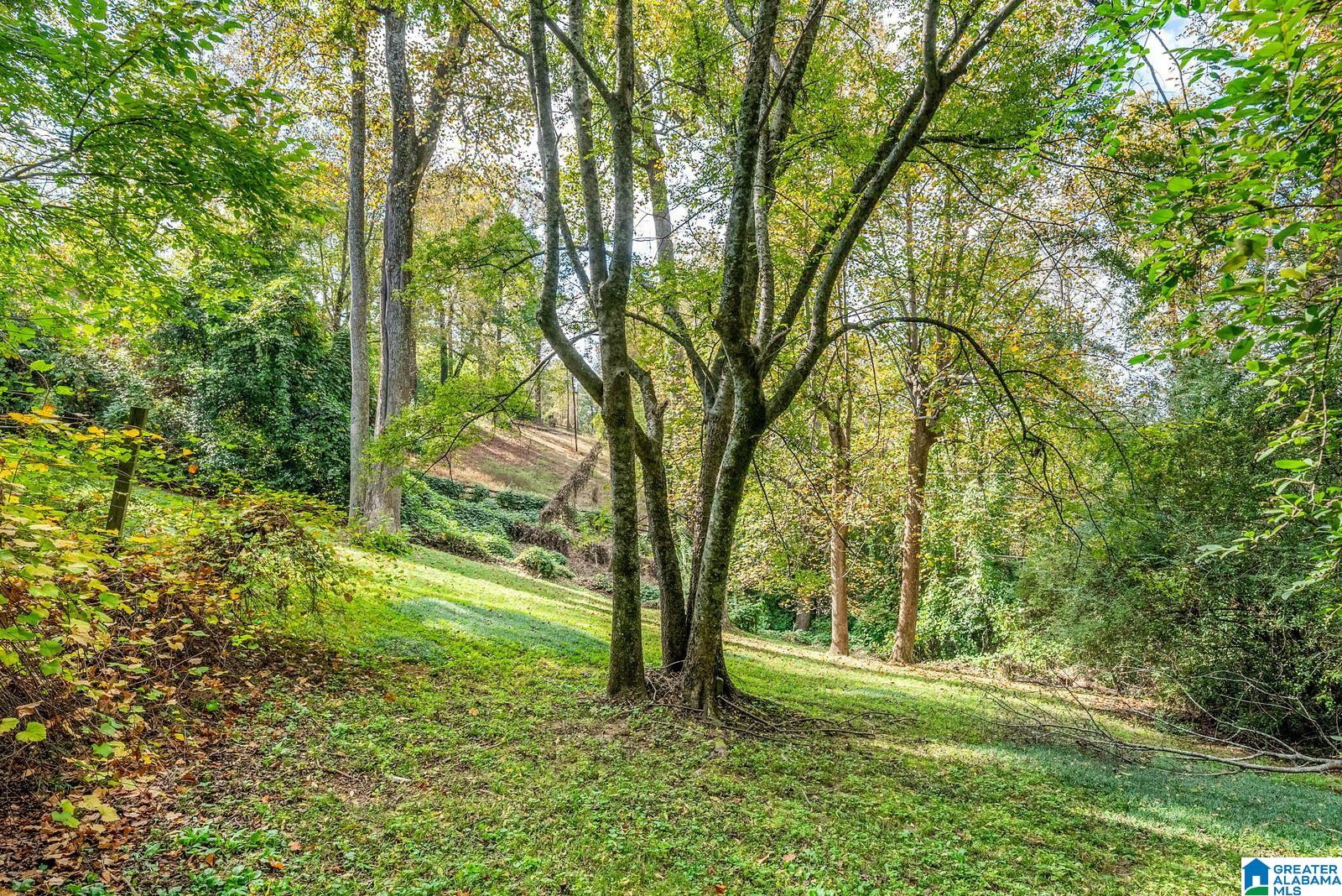 2868 Shook Hill Road Birmingham, AL 35223 - Photo 82 of 98