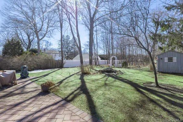 a view of a park with large trees