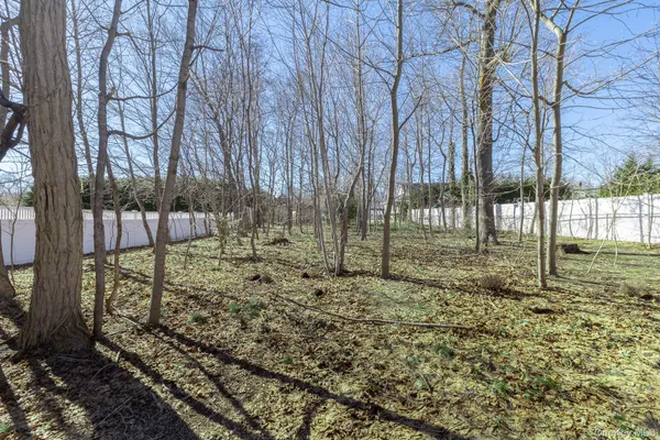 a view of a yard with trees
