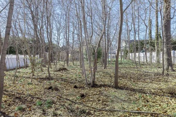 a view of a backyard with large trees