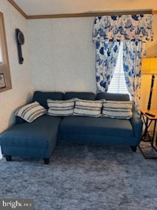 196 Lake Drive Media, PA 19063 - Photo 22 of 42