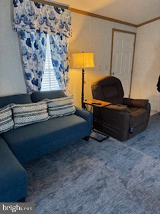 196 Lake Drive Media, PA 19063 - Photo 23 of 42 a living room with furniture and a window