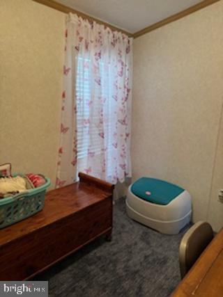 196 Lake Drive Media, PA 19063 - Photo 28 of 42 a bathroom with a sink toilet and shower