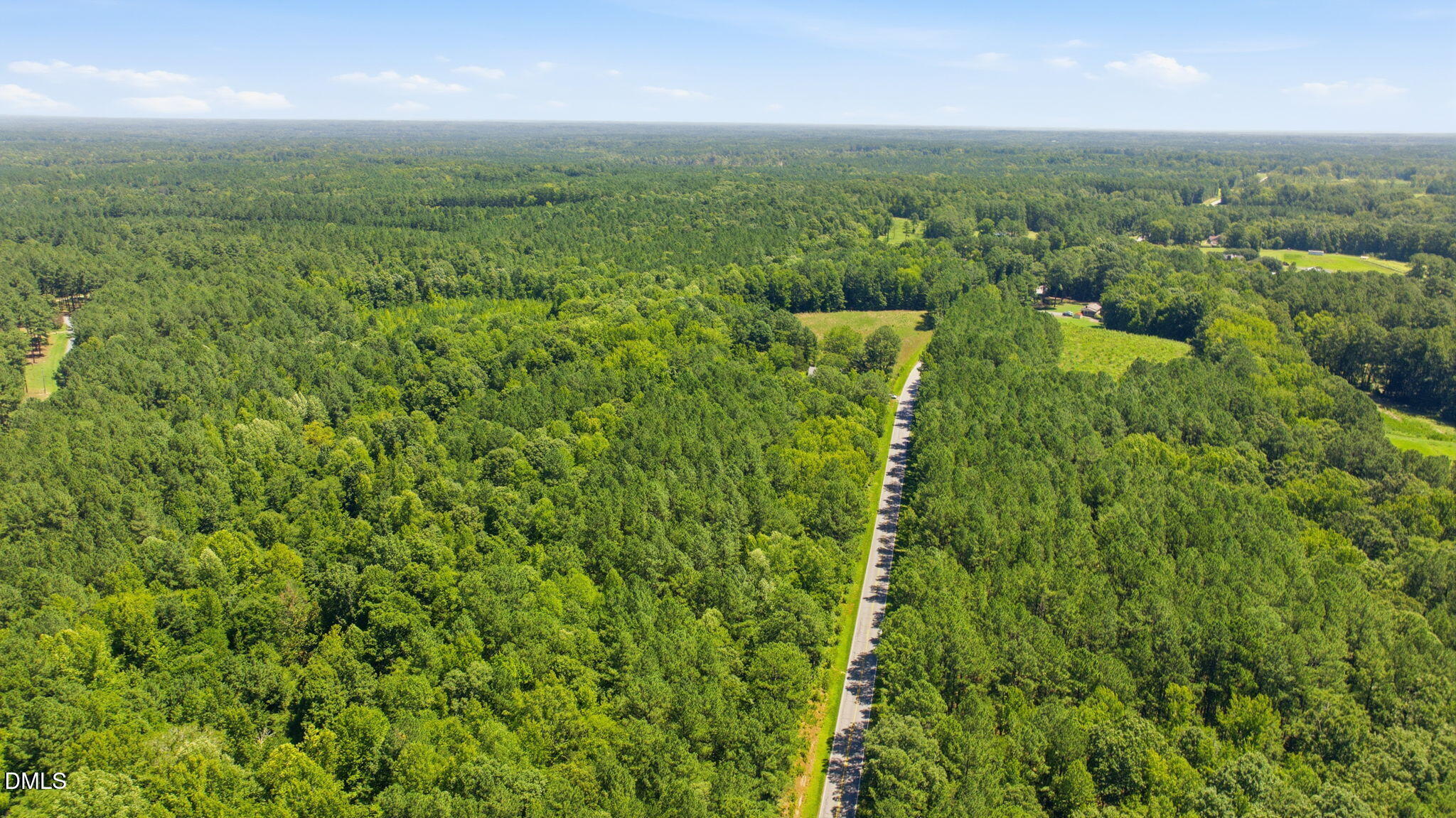 2525 Hester Road Creedmoor, NC 27522 - Photo 9 of 16 8-web-or-mls-DJI_0364