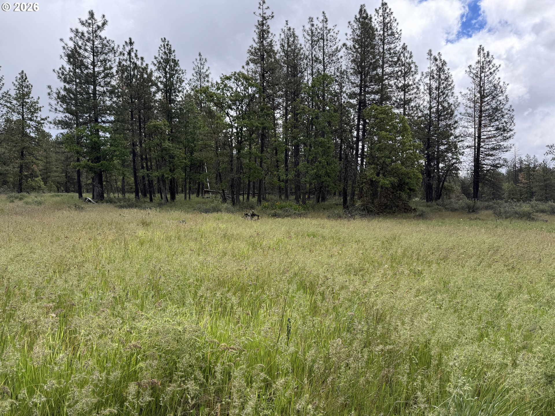 Old Mountain Road Goldendale, WA 98620 - Photo 34 of 41
