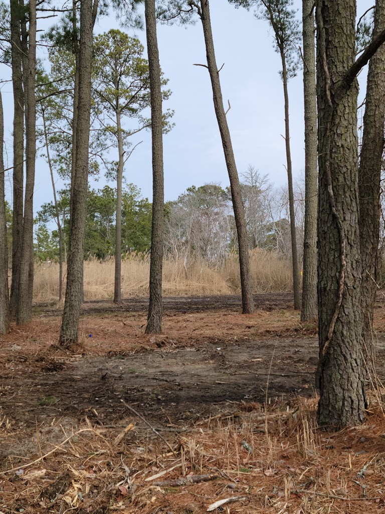 Lot 16 Wayne Road, Unit 16A Chincoteague Island, VA 23336 - Photo 3 of 4