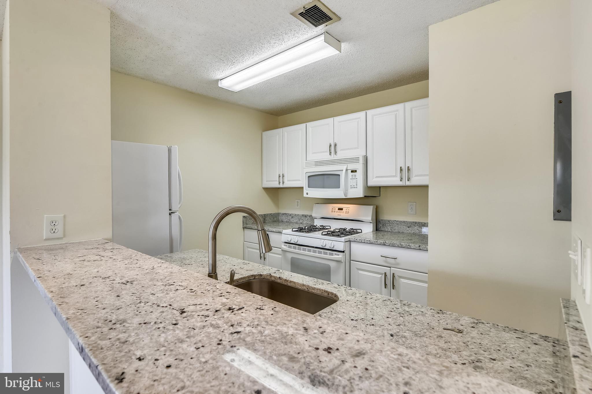 21023 Timber Ridge Terrace, Unit 302 Ashburn, VA 20147 - Photo 3 of 16 Beautifully updated kitchen.
