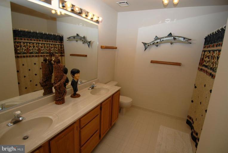 1272 Woodbrook Court Reston, VA 20194 - Photo 20 of 24 Bath #1