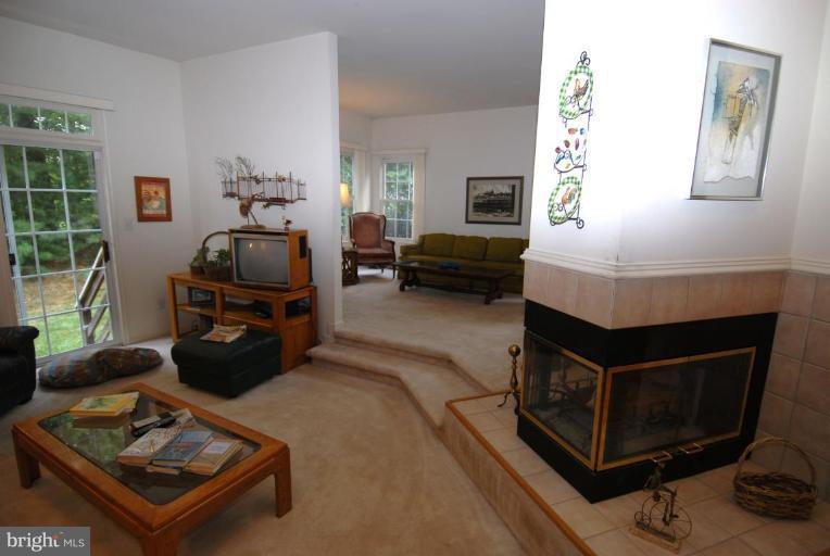 1272 Woodbrook Court Reston, VA 20194 - Photo 9 of 24 Fireplace